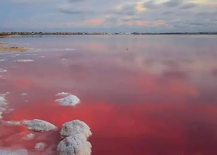 Belle Mar Sea View Lejlighed